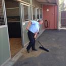 Nothing changes. Even after training one of the best horses he has trained, John is straight back to the stables